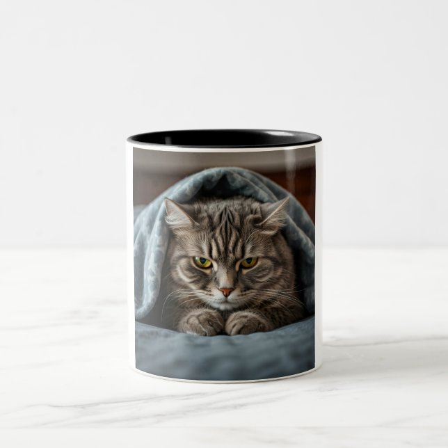 Tasse 2 Couleurs Grumpy Cat Coffee Mug: A Purrfectly Grumpy Morning (Centre)