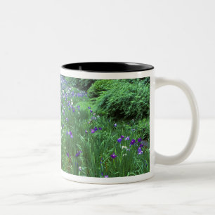 Tasse 2 Couleurs Hana Shobu (Iris d'eau japonais), Meiji-jingu,