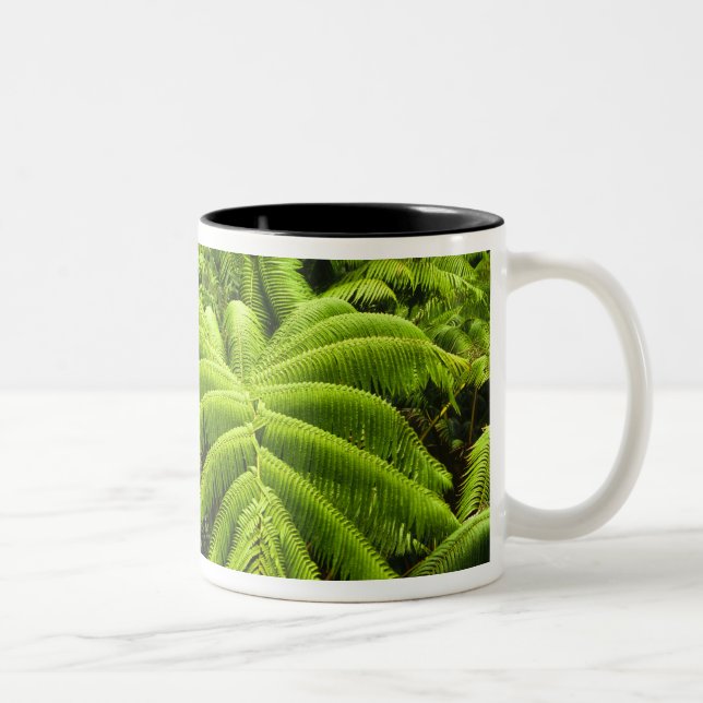 Tasse 2 Couleurs Hawaii, Grande Île, Verdure tropicale luxuriante e (Droit)