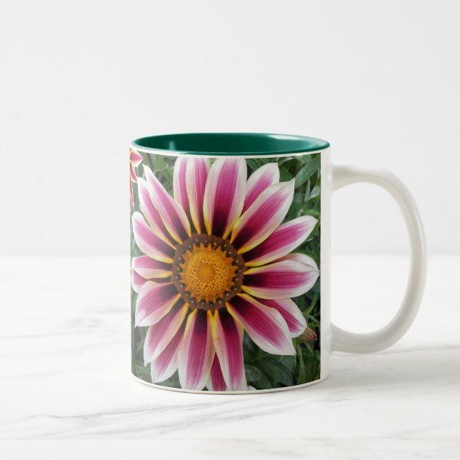 Tasse 2 Couleurs Hereford (Droit)