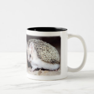 Tasse 2 Couleurs Hérisson - le mammifère épineux