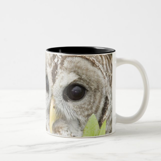 Tasse 2 Couleurs Hibou barré (Droit)