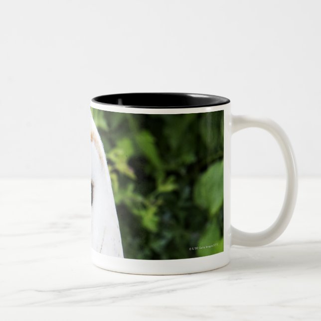 Tasse 2 Couleurs Hibou de grange (Tyto alba) sur le gant (Droit)