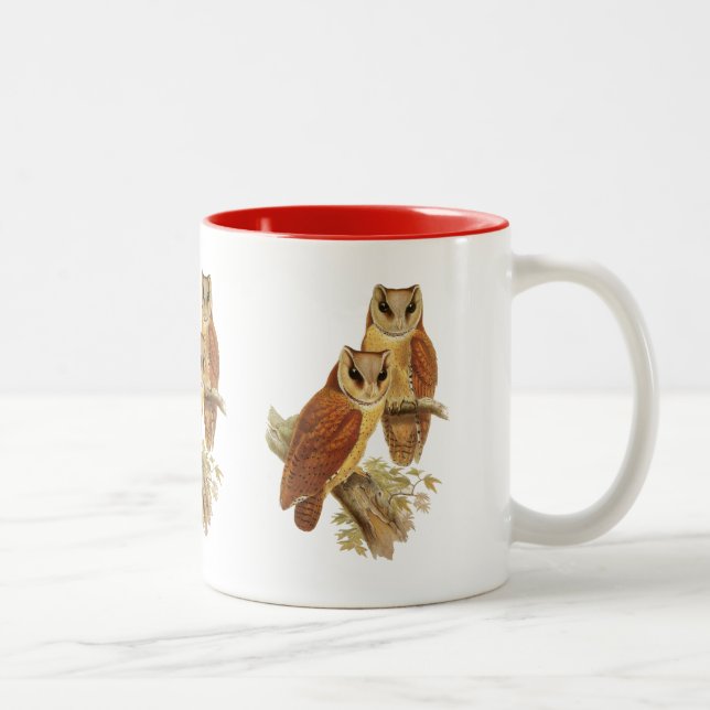 Tasse 2 Couleurs Hibou oriental de baie (Droit)