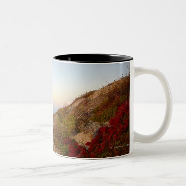 Tasse 2 Couleurs Hillside rocheux, fleurs rouges, parc national (Droit)
