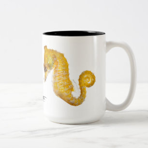 Tasse 2 Couleurs Hippocampe nain, zosterae de hippocampe