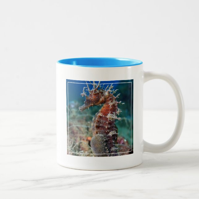Tasse 2 Couleurs Hippocampe Ramulosus de l'hippocampe | (Droit)