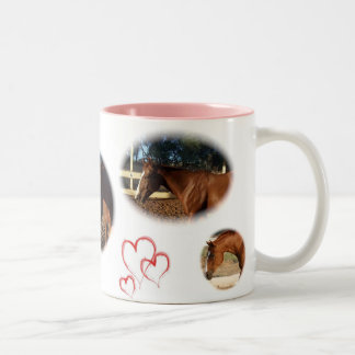 Tasse 2 Couleurs Homer le cheval