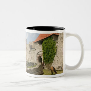 Tasse 2 Couleurs HONGRIE, région du lac Balaton, SUMEG : Sumeg