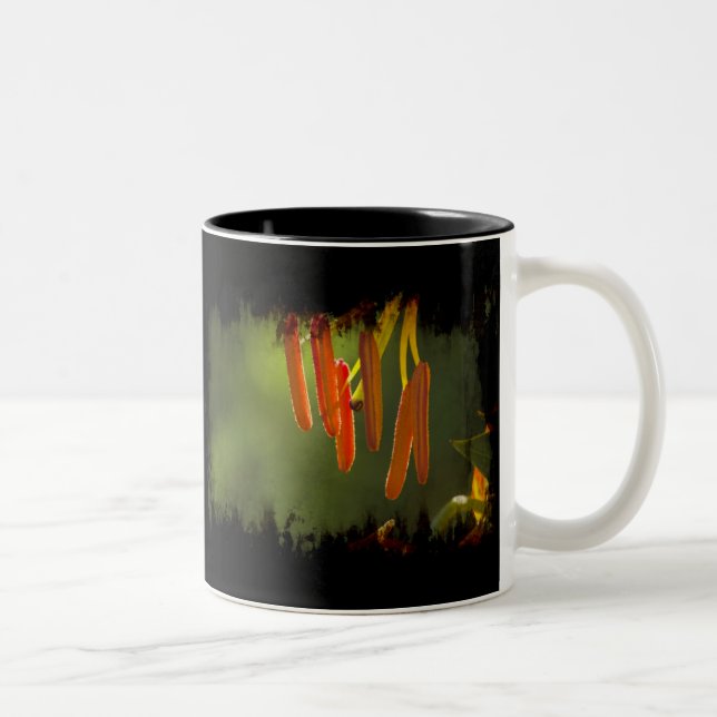 Tasse 2 Couleurs Humboldt Lily Stamens (Droit)