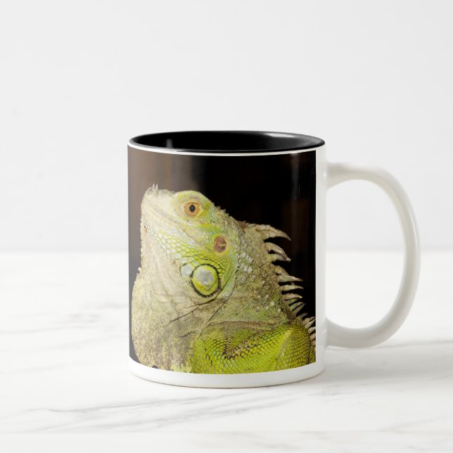 Tasse 2 Couleurs Iguane vert (iguane d'iguane) (Droit)