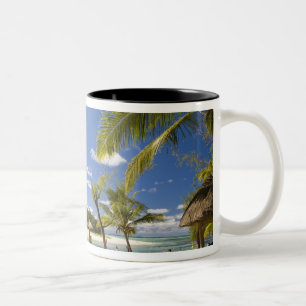 Tasse 2 Couleurs Ile Aux Cerf, excursion d'une journée la plus popu