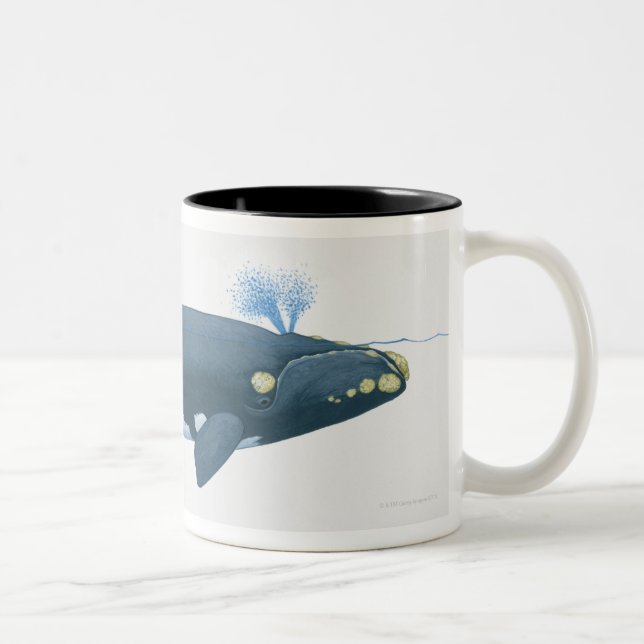 Tasse 2 Couleurs Illustration de baleine droite de North Pacific (Droit)