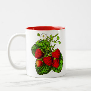 Tasse 2 Couleurs Illustration de fraise botanique - Berries rouges