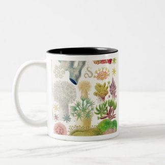 Tasse 2 Couleurs Illustration de la biologie marine Vintage en Aust