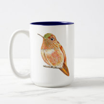 Illustration du colibri de Roufus orange