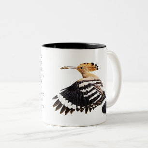 Tasse 2 Couleurs Illustration Oiseau d'hoopoe Oiseau Art Oiseau Ois