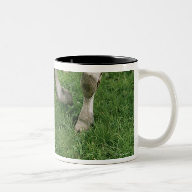 Tasse 2 Couleurs ima28991 (Droit)