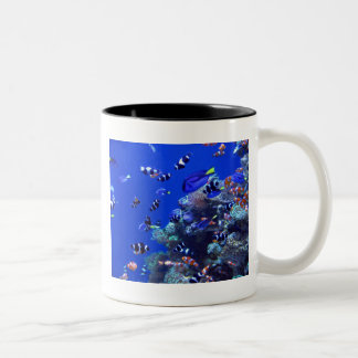 TASSE 2 COULEURS IMG_0829