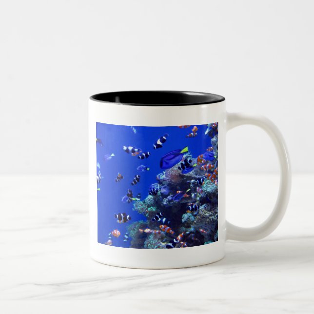 TASSE 2 COULEURS IMG_0829 (Droit)