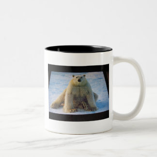 TASSE 2 COULEURS IMG_0907