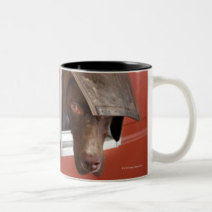Tasse 2 Couleurs Indicateur allemand regardant dehors, par le