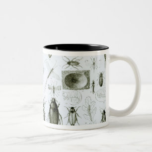 Tasse 2 Couleurs Insectes d'entomologie