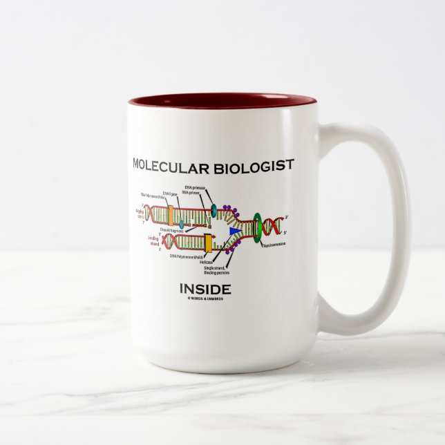 Tasse 2 Couleurs Inside de biologiste moléculaire (Droit)