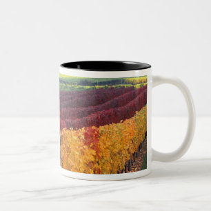 Tasse 2 Couleurs Intense couleur rouge et jaune sur Gehring