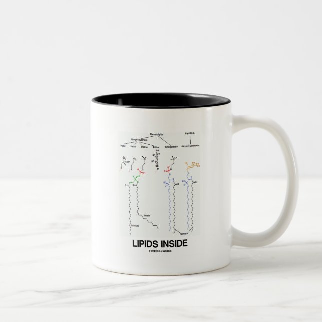 Tasse 2 Couleurs Intérieur de lipides (molécules chimiques) (Droit)