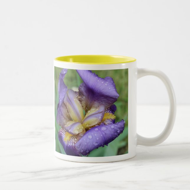 Tasse 2 Couleurs Iris Violet (Iris Germanica) (Droit)