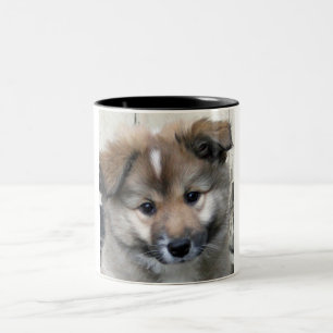 Tasse 2 Couleurs Irish Sheepdog 2014-0801