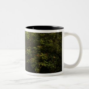 Tasse 2 Couleurs Irlande, le jardin clos du château de Dromoland