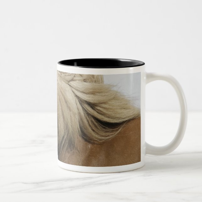 Tasse 2 Couleurs Islande. Portrait de cheval islandais. (Droit)