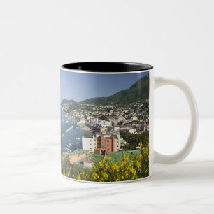 Tasse 2 Couleurs ITALIE, Campanie, (Baie de Naples), ISCHIA, LACCO