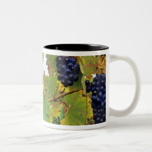 Tasse 2 Couleurs Italie, Ferme toscane vue à travers