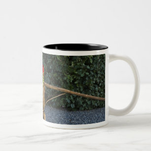 Tasse 2 Couleurs Italie, Toscane. Les géraniums rouges débordent d'