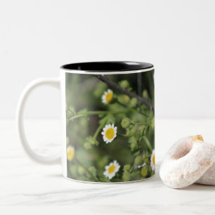 Tasse 2 Couleurs Ivory Desert Rock Daisy Fleur sauvage Coachella De