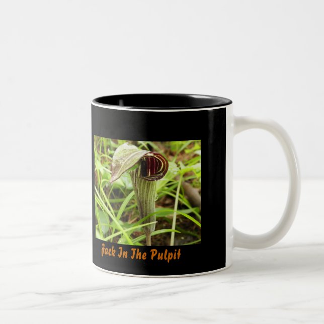 Tasse 2 Couleurs Jack dans le pupitre (Droit)