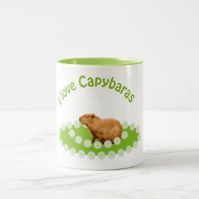 Tasse 2 Couleurs J'adore les capybaras (Centre)