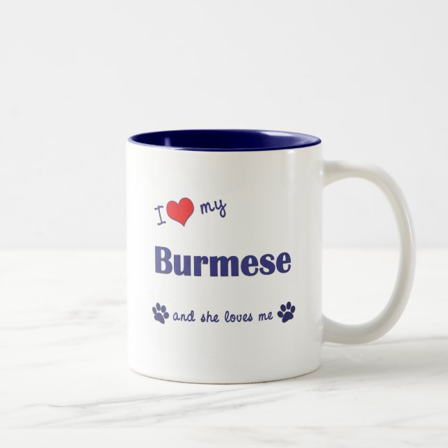 Tasse 2 Couleurs J'aime mon birman (le chat femelle) (Droit)