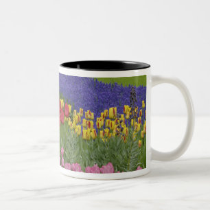 Tasse 2 Couleurs Jardin de tulipes, Muscari et