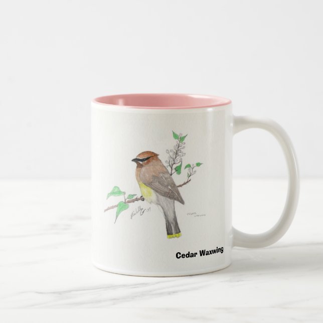 Tasse 2 Couleurs Jaseur de cèdre, jaseur de cèdre (Droit)