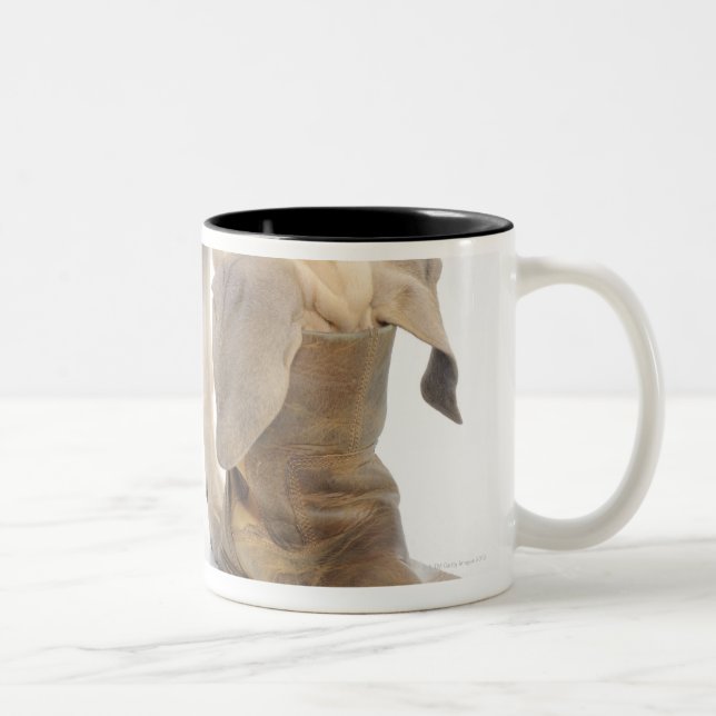 Tasse 2 Couleurs jeu, amical, curiosité (Droit)