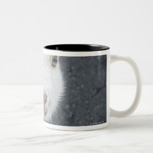 Tasse 2 Couleurs Jeune chèvre