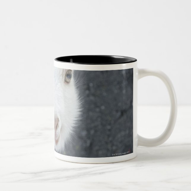 Tasse 2 Couleurs Jeune chèvre (Droit)