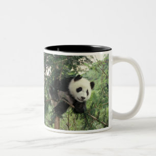Tasse 2 Couleurs Jeune panda géant grimpe à un arbre, vallée de Wol