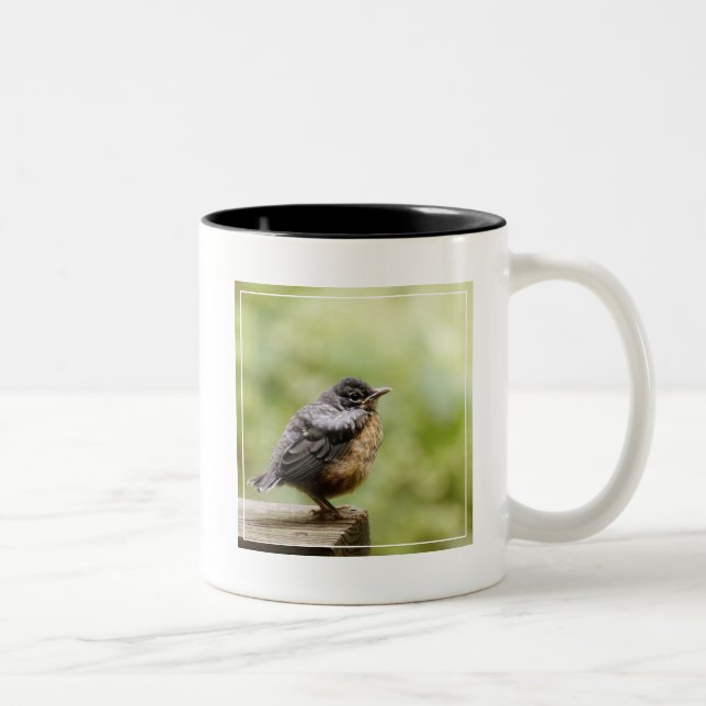 Tasse 2 Couleurs Jeune Robin (Droit)