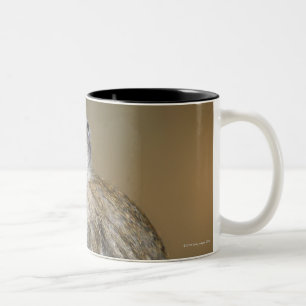 Tasse 2 Couleurs Jeune singe de Vervet (aethiops de Cercopithecus)