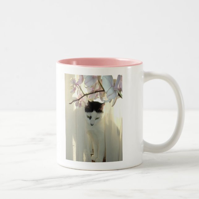 Tasse 2 Couleurs Joli chat blanc (Droit)